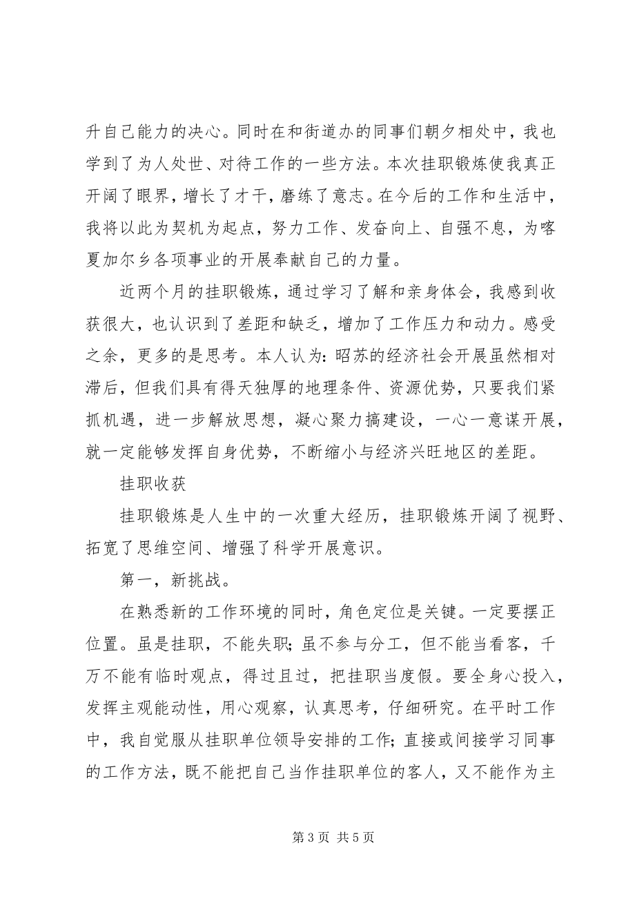 2023年副乡长挂职学习心得体会.docx_第3页