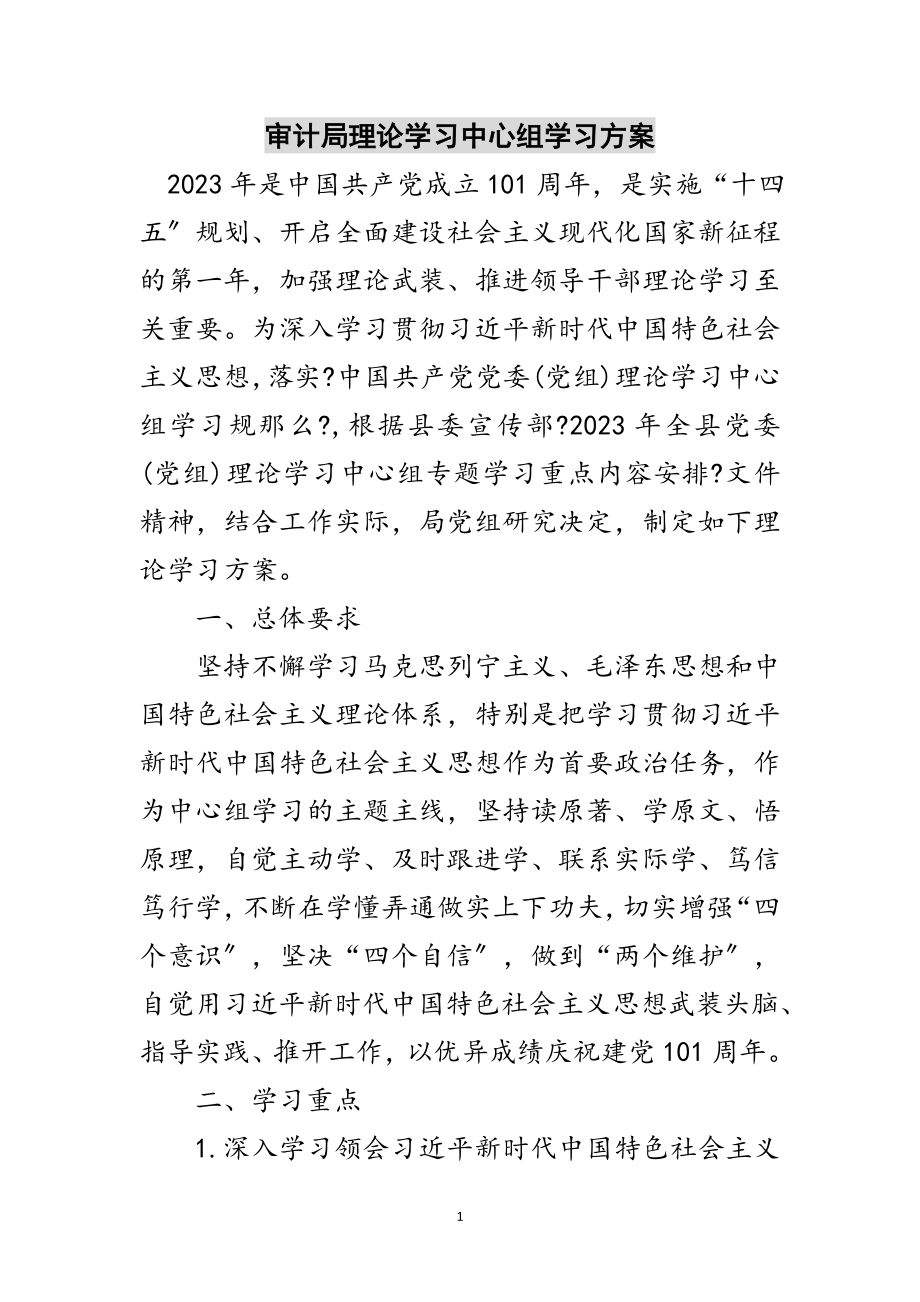 2023年审计局理论学习中心组学习计划范文.doc_第1页