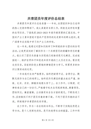 2023年共青团员年度评价总结表.docx