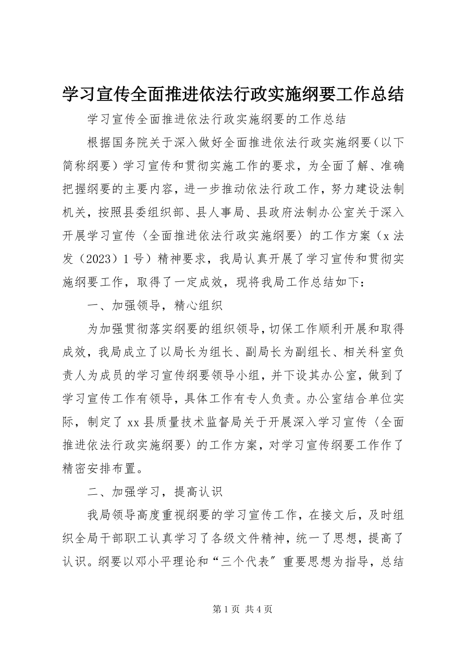 2023年学习宣传《全面推进依法行政实施纲要》工作总结.docx_第1页