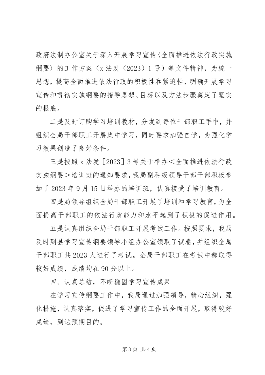 2023年学习宣传《全面推进依法行政实施纲要》工作总结.docx_第3页