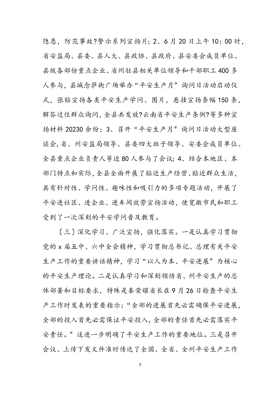 2023年安监局安全生产上半年总结（县）.docx_第3页