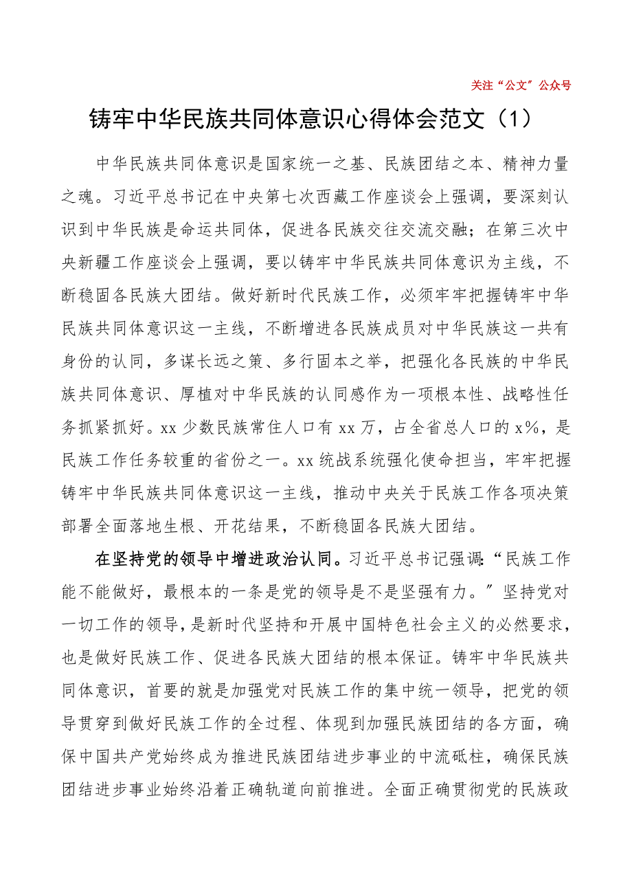 铸牢中华民族共同体意识心得体会范文3篇.doc_第1页