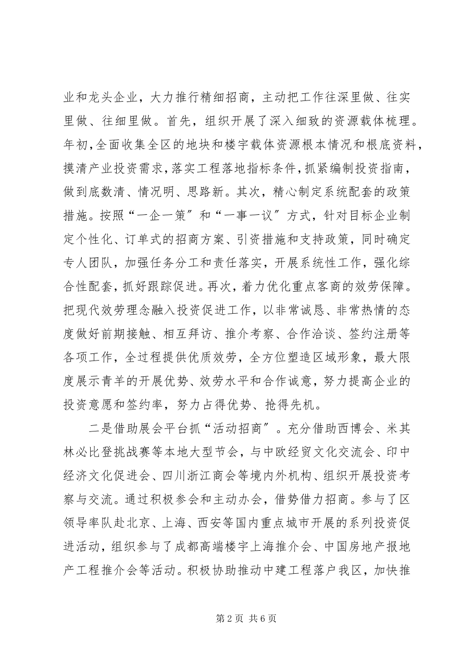 2023年投资促进局工作总结及工作安排.docx_第2页