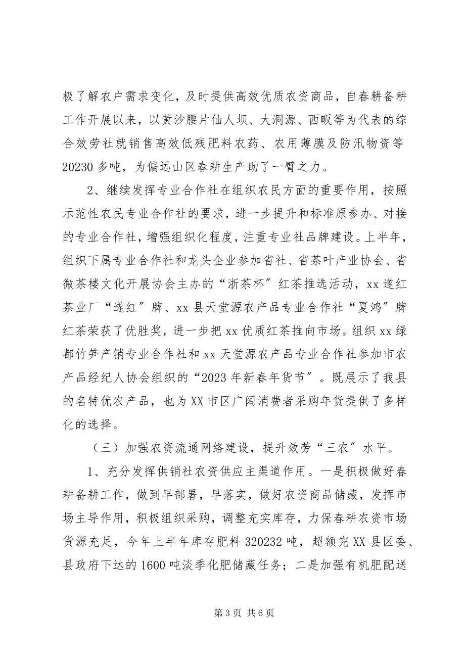 2023年供销社某年上半年工作总结及下半年工作思路.docx_第3页