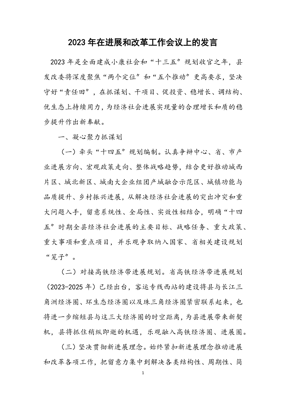 2023年在发展和改革工作会议上的发言.docx_第1页