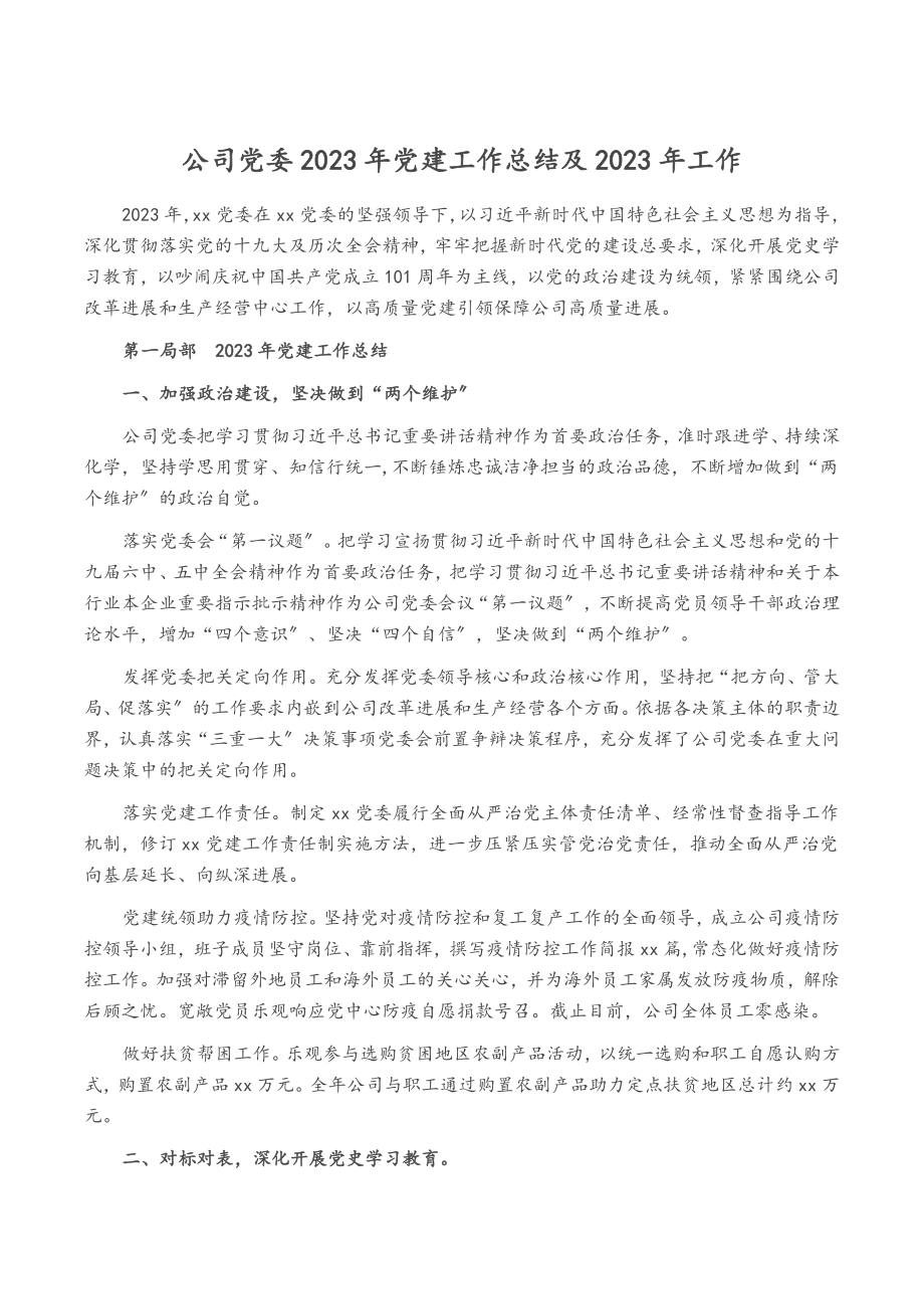 公司党委2023年党建工作总结及2023年工作计划.doc_第1页