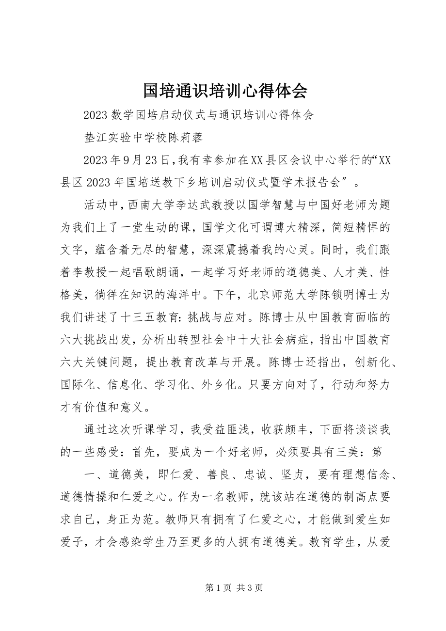 2023年国培通识培训心得体会.docx_第1页