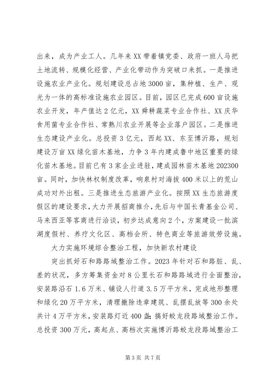 2023年乡镇党委书记人大主席事迹材料.docx_第3页