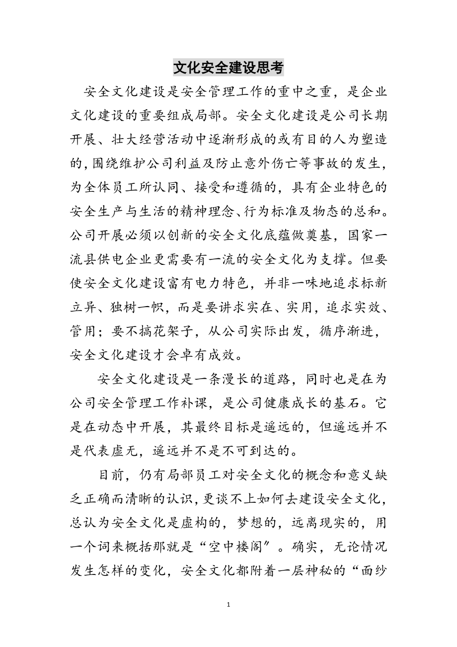 2023年文化安全建设思考范文.doc_第1页