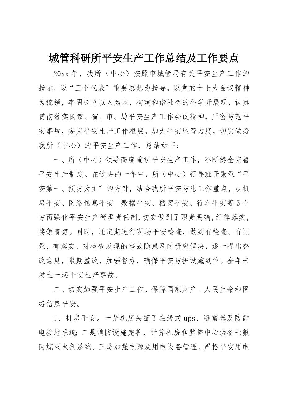 2023年城管科研所安全生产工作总结及工作要点.docx_第1页