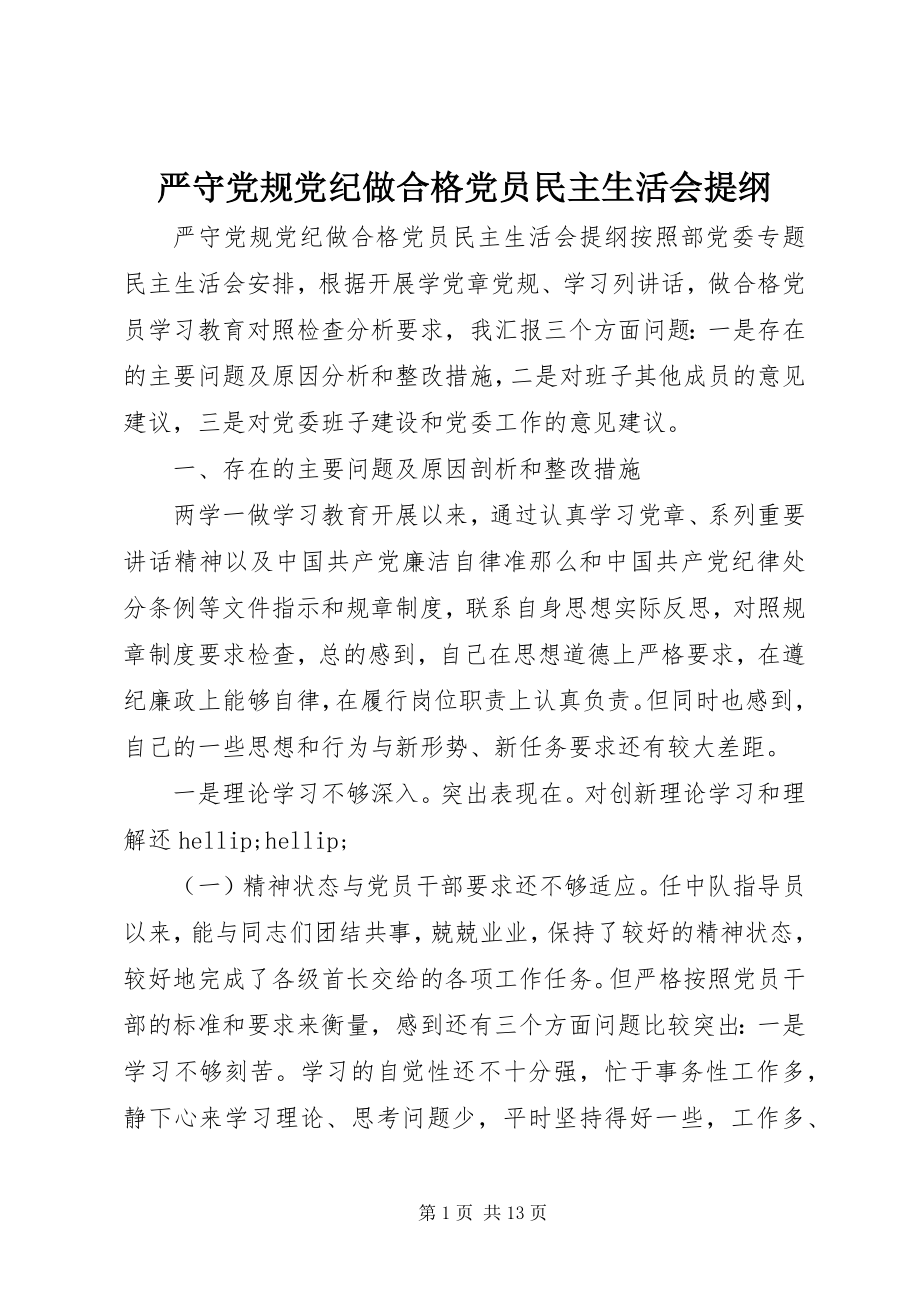 2023年严守党规党纪做合格党员民主生活会提纲.docx_第1页