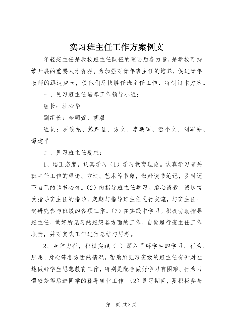 2023年实习班主任工作计划例文.docx_第1页