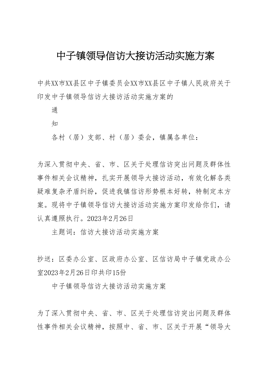 2023年中子镇领导信访大接访活动实施方案.doc_第1页