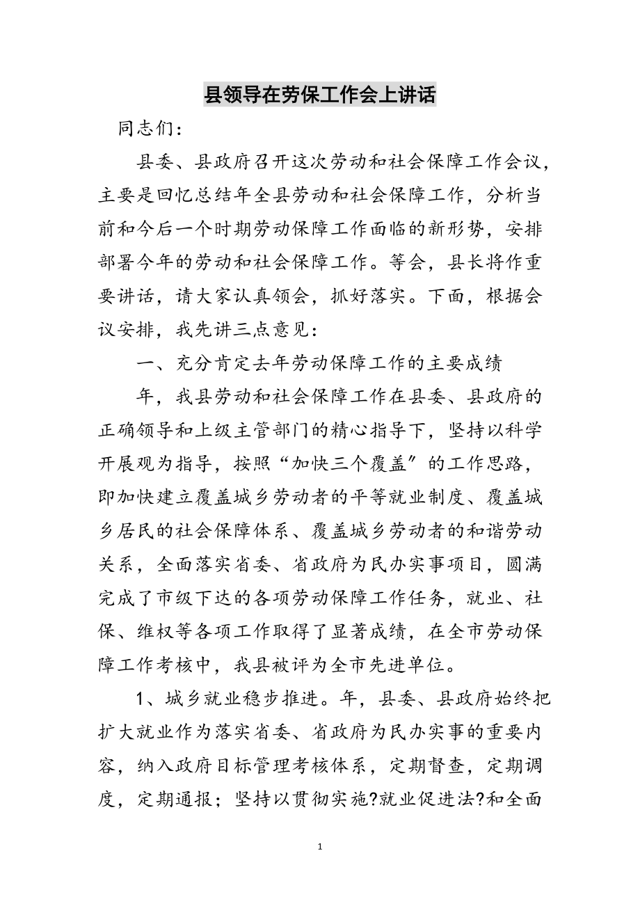 2023年县领导在劳保工作会上讲话范文.doc_第1页