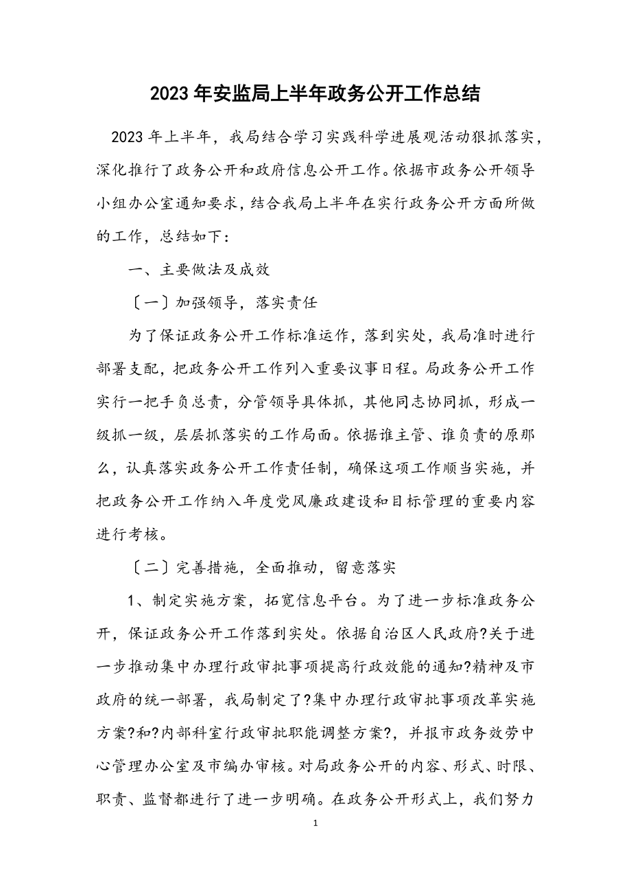 2023年安监局上半年政务公开工作总结.docx_第1页