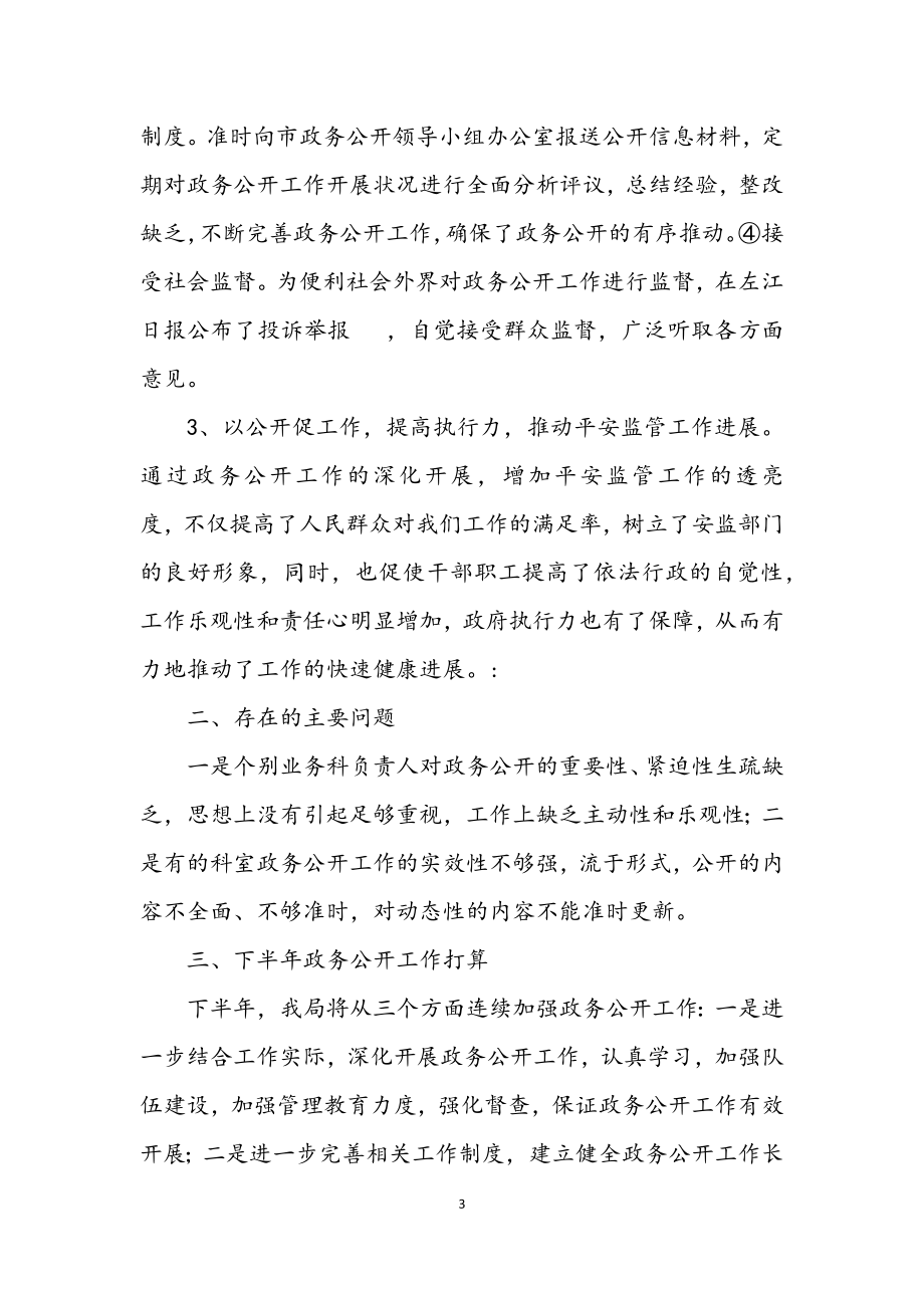 2023年安监局上半年政务公开工作总结.docx_第3页