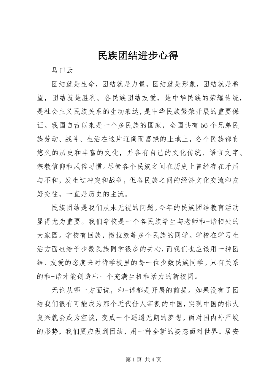 2023年民族团结进步心得.docx_第1页