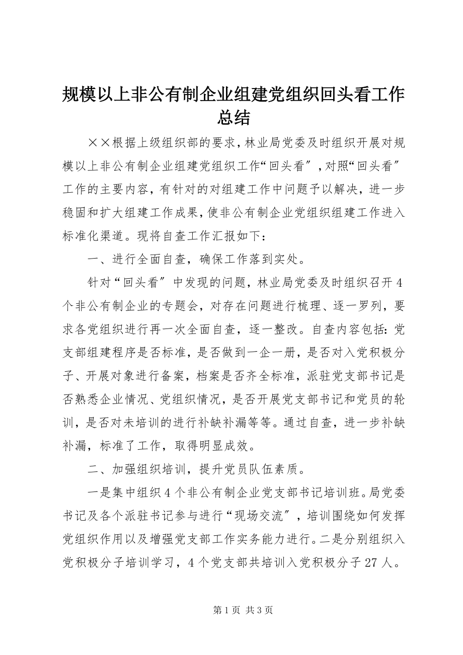 2023年规模以上非公有制企业组建党组织回头看工作总结.docx_第1页