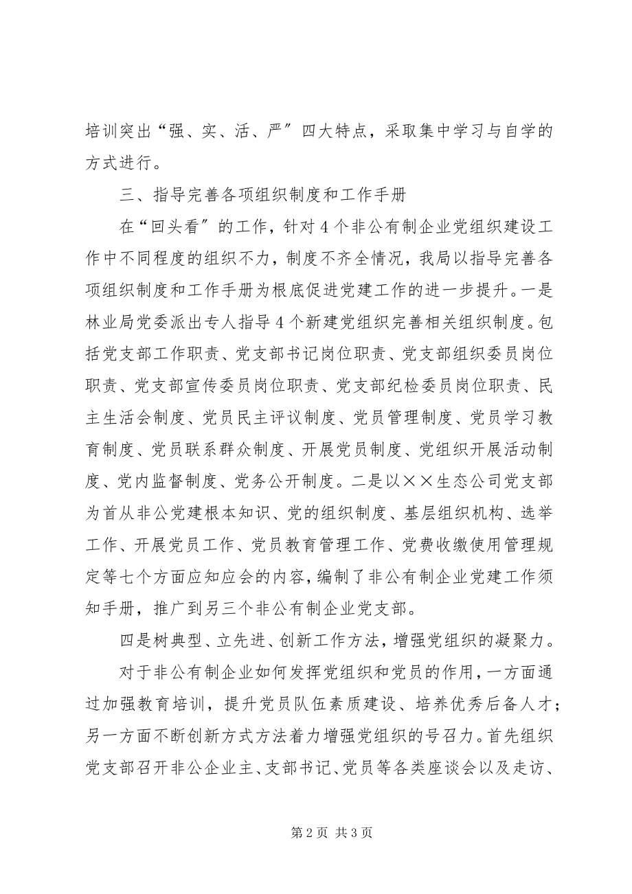 2023年规模以上非公有制企业组建党组织回头看工作总结.docx_第2页