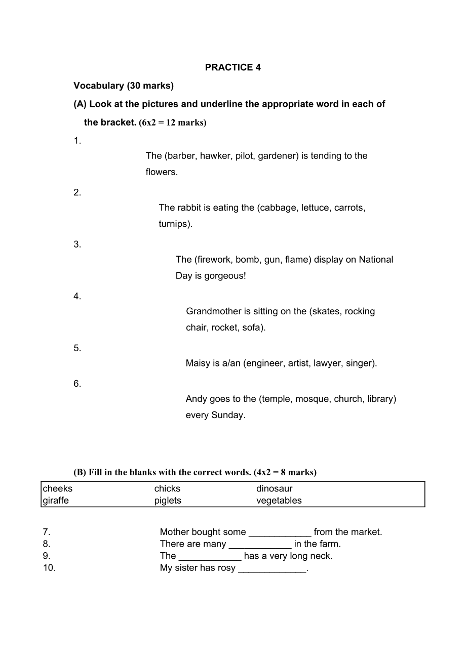 2023年新加坡小学一年级英语试PRACTICE42.docx_第1页