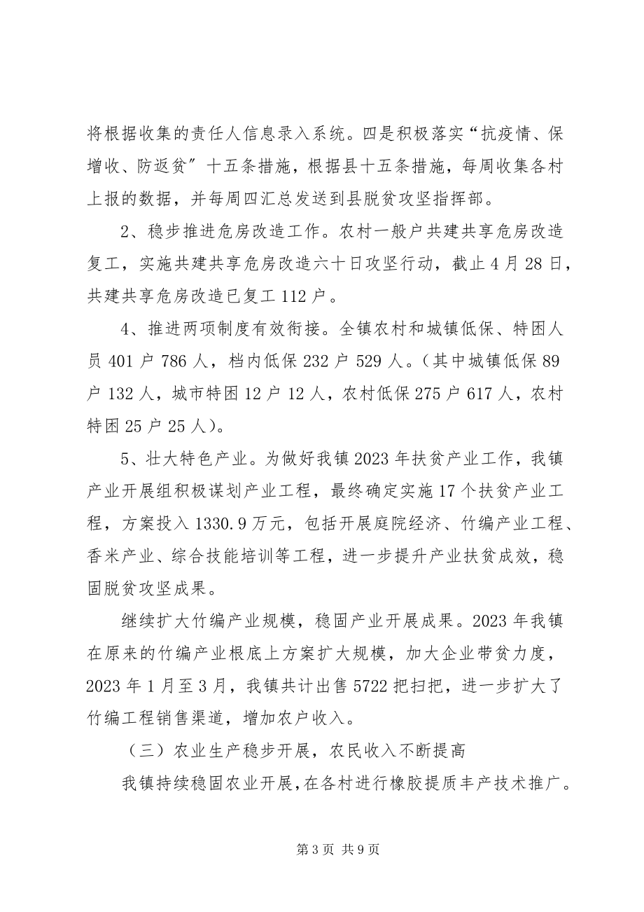 2023年乡镇人民政府工作总结.docx_第3页