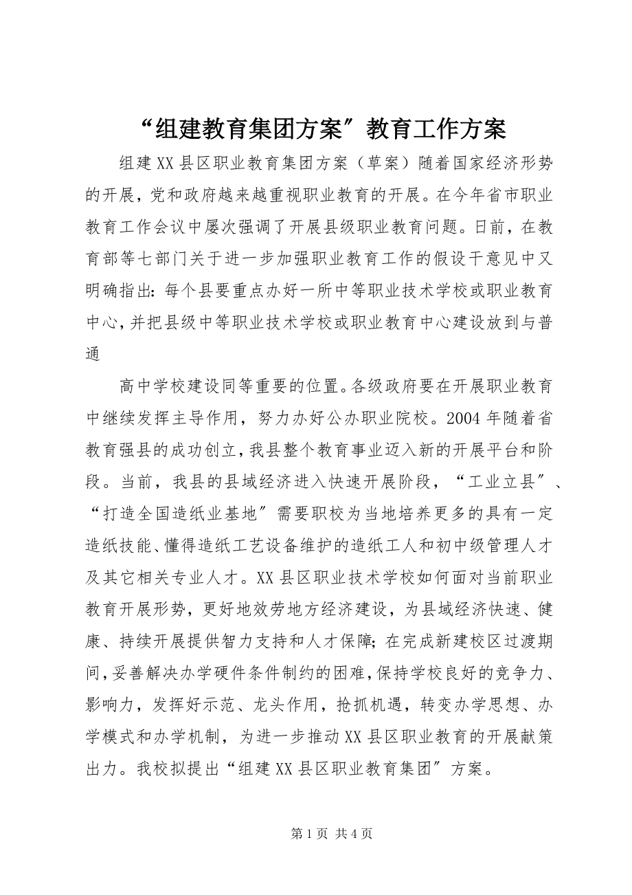 2023年组建教育集团方案教育工作计划.docx_第1页