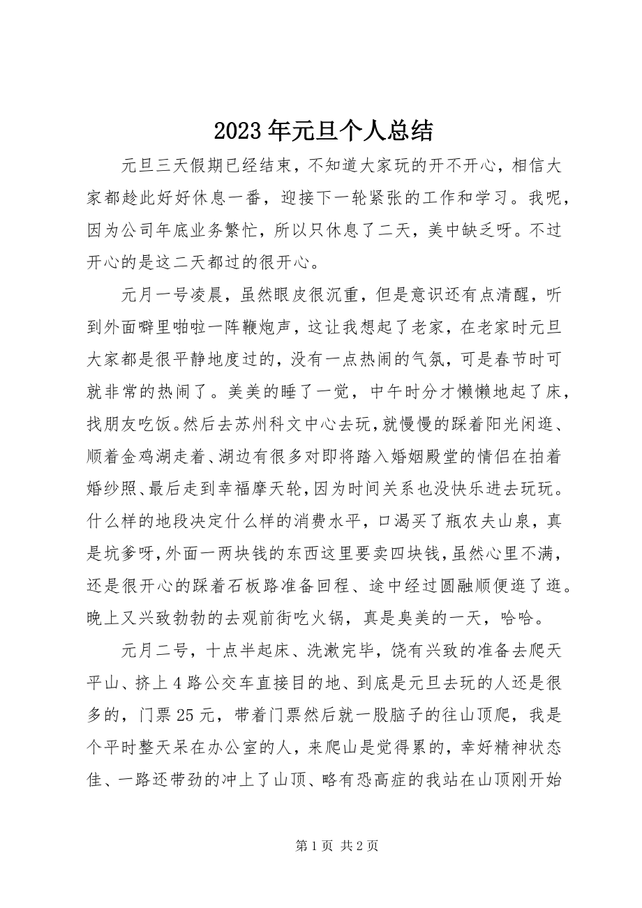 2023年元旦个人总结.docx_第1页