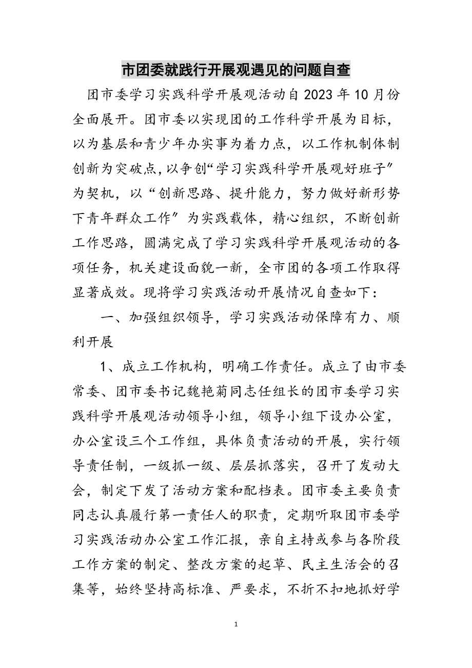 2023年市团委就践行发展观遇见的问题自查范文.doc_第1页