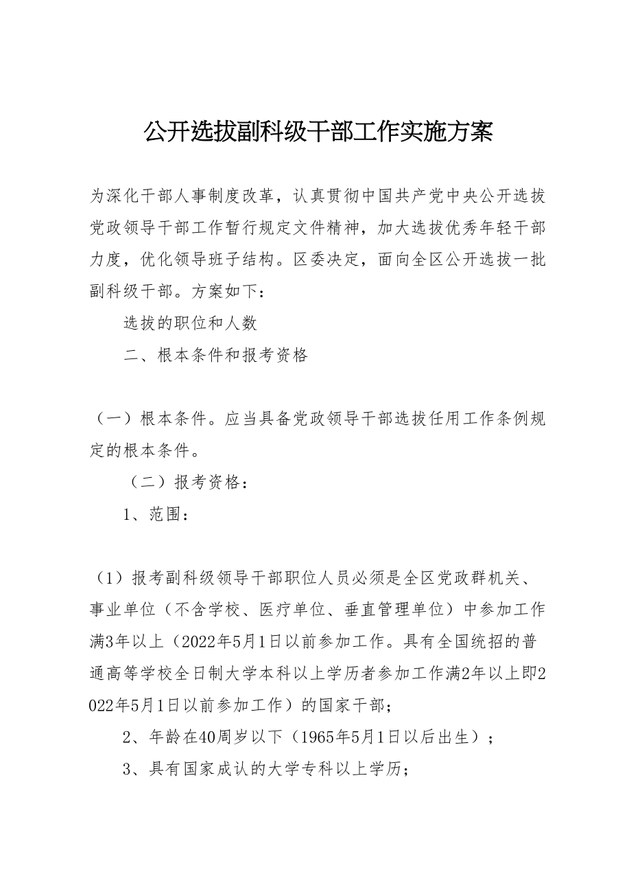 2023年公开选拔副科级干部工作实施方案 2.doc_第1页