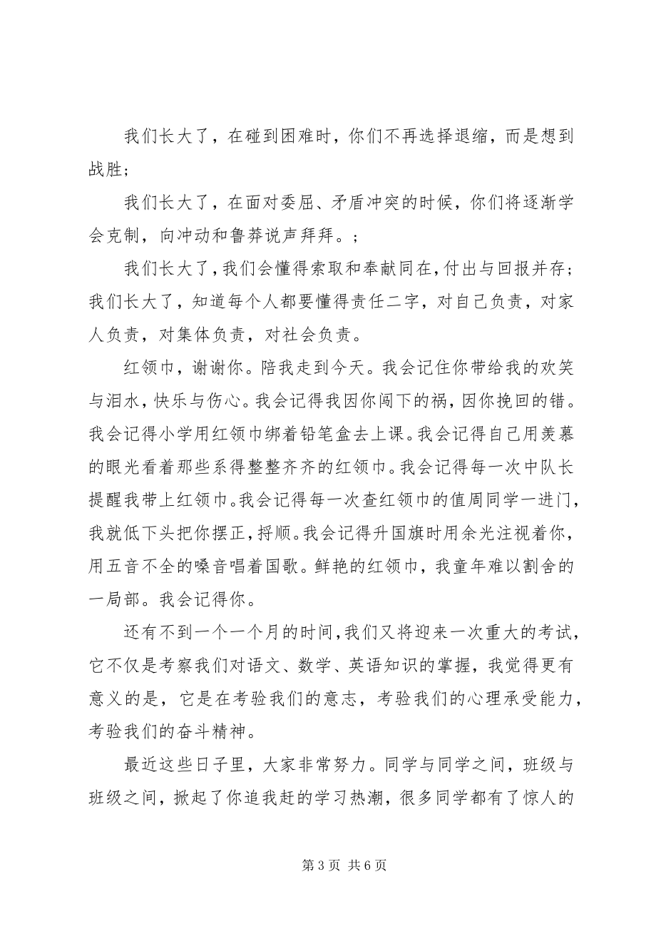 2023年离队建团领导致辞稿.docx_第3页