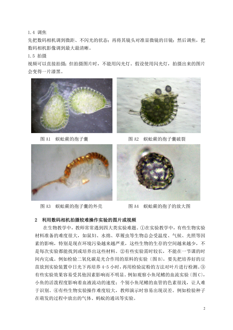 2023年善用数码相机提高生物教学的有效性.doc_第2页