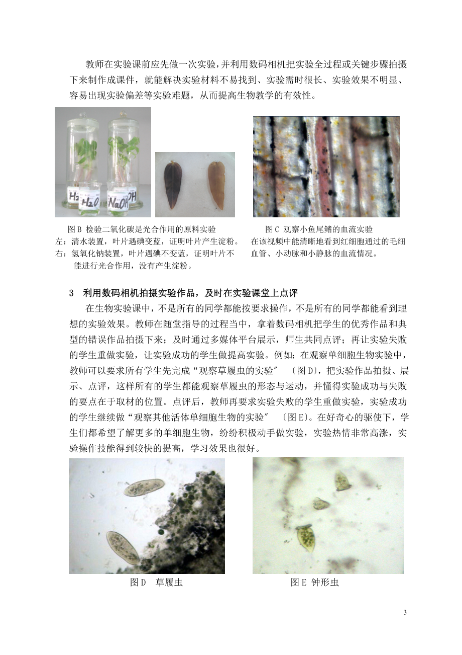 2023年善用数码相机提高生物教学的有效性.doc_第3页