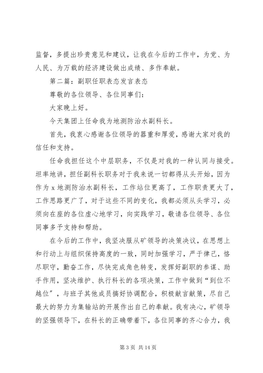 2023年副局长任职表态讲话.docx_第3页