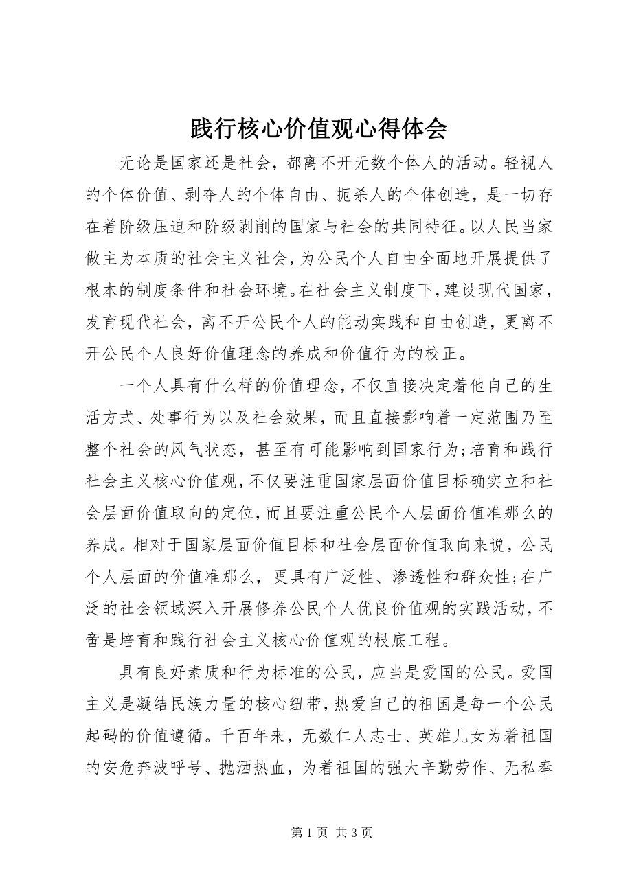 2023年践行核心价值观心得体会.docx_第1页