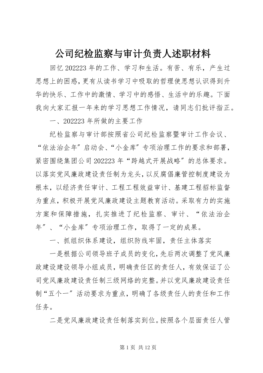 2023年公司纪检监察与审计负责人述职材料.docx_第1页