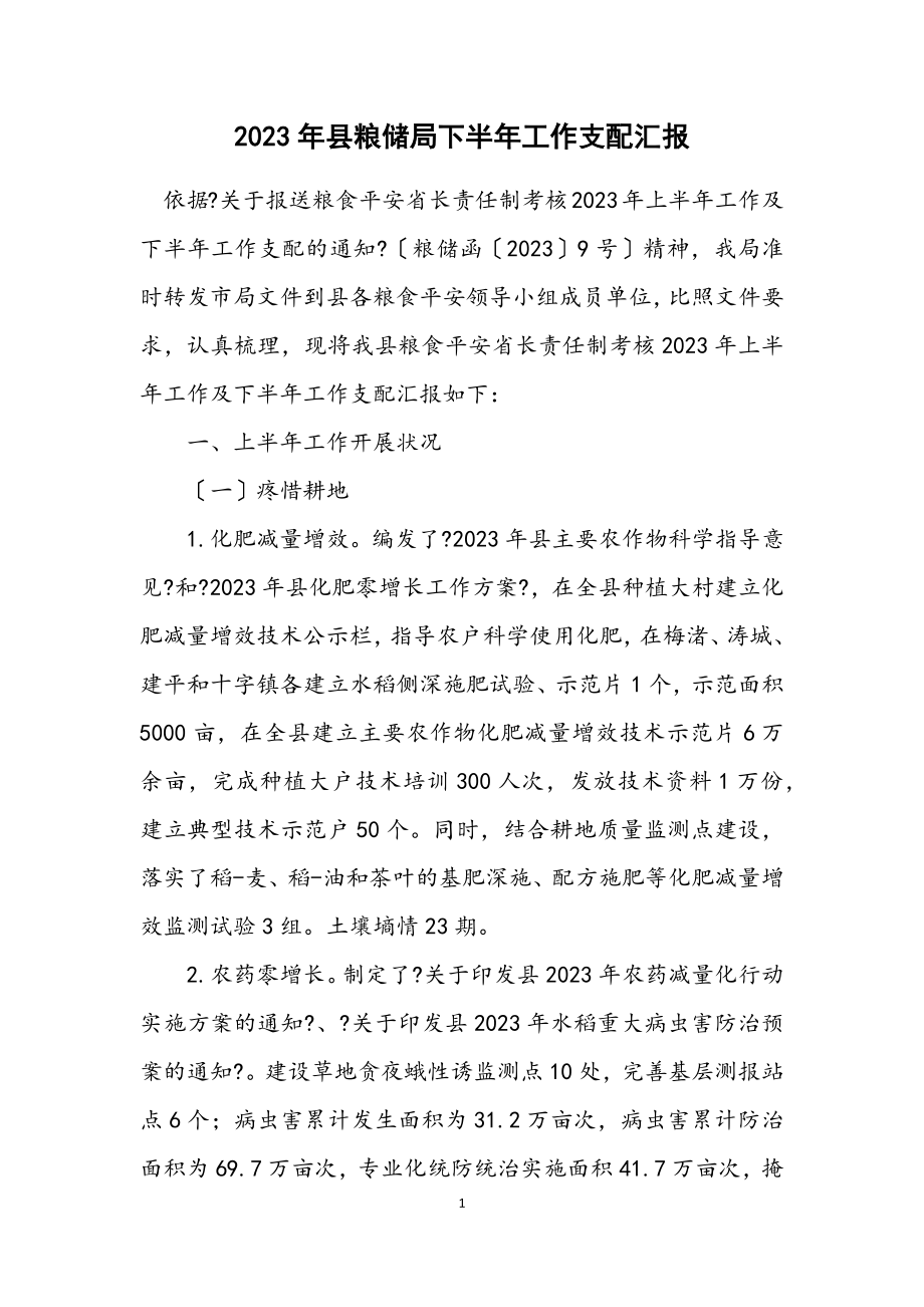 2023年县粮储局下半年工作安排汇报.docx_第1页