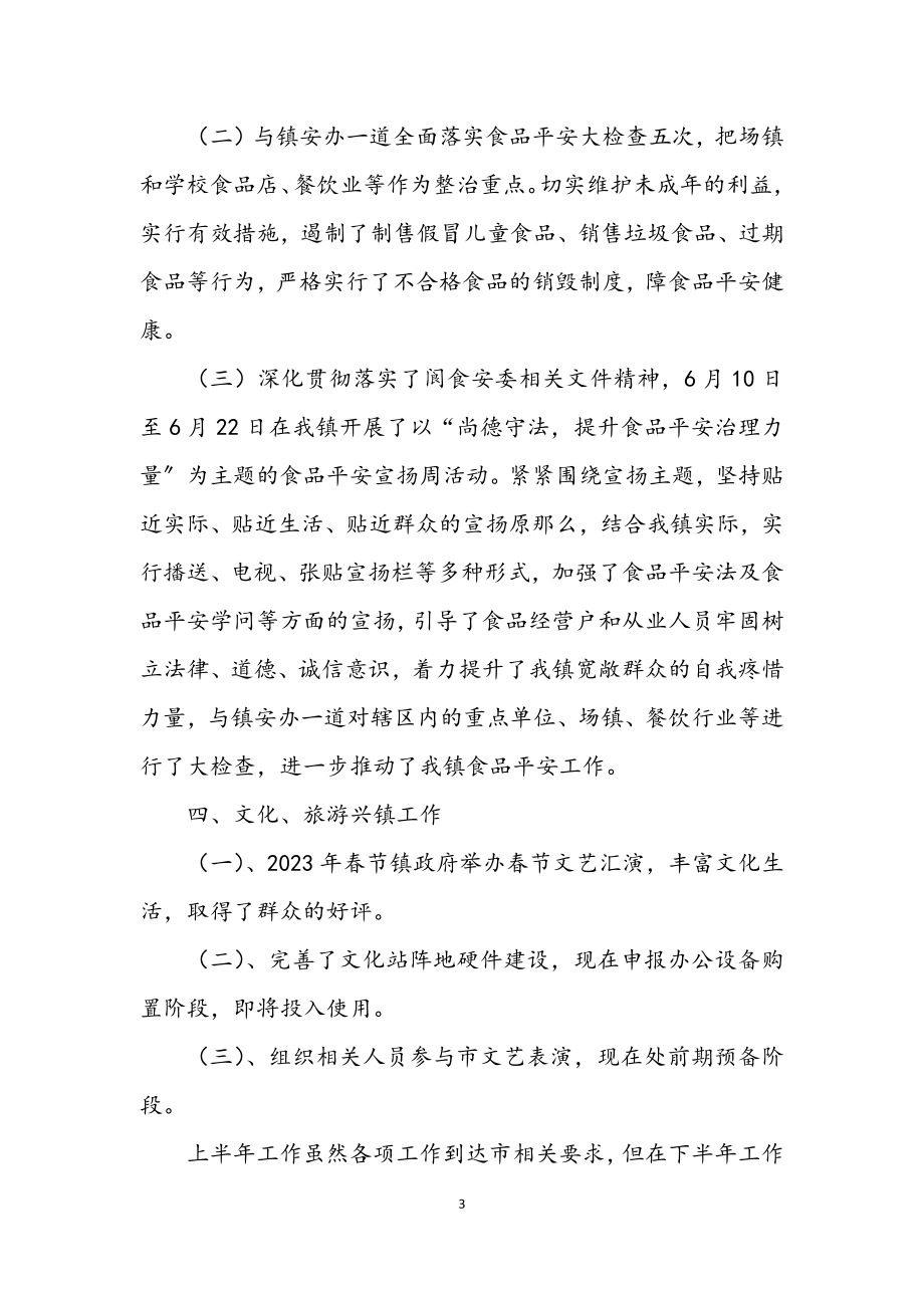 2023年副镇长上半年农村经济工作总结.docx_第3页