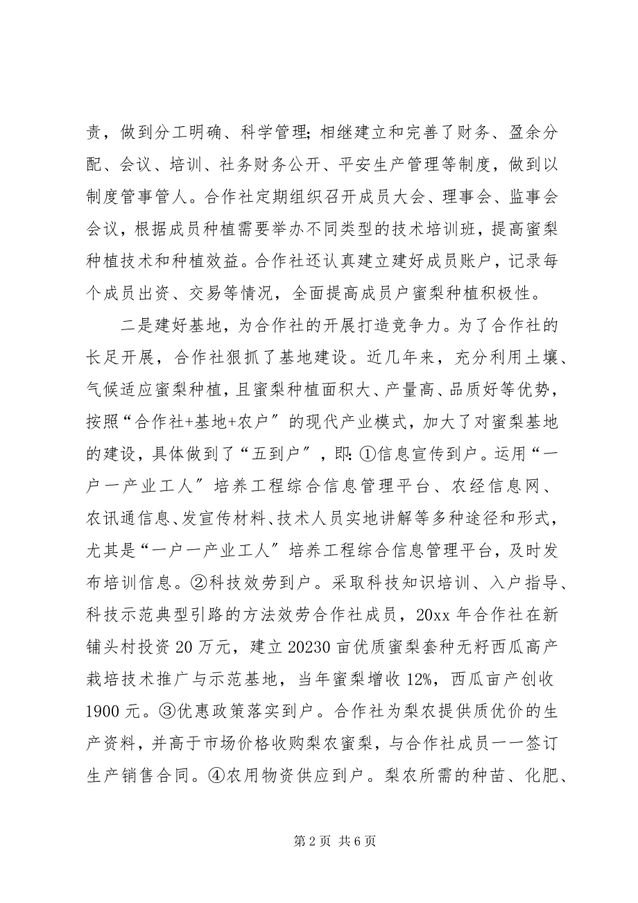 2023年蜜梨专业合作社典型材料.docx_第2页