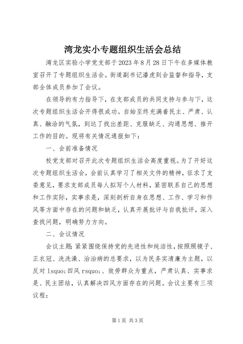 2023年湾龙实小专题组织生活会总结.docx_第1页