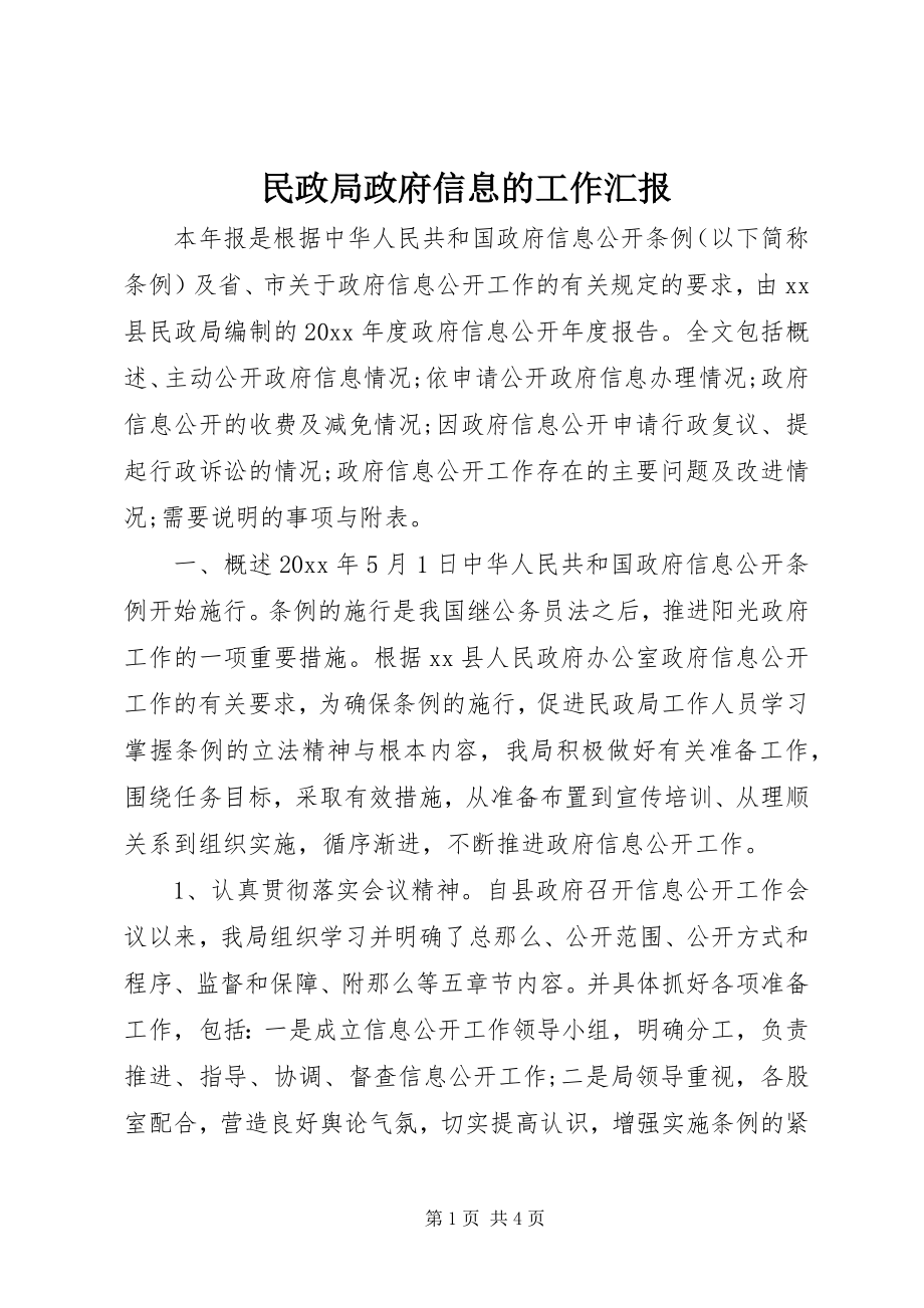 2023年民政局政府信息的工作汇报.docx_第1页