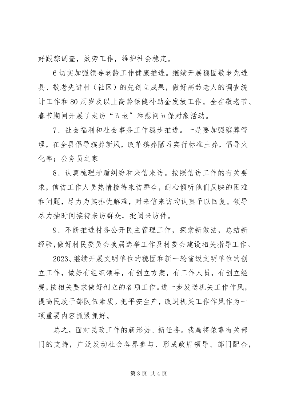 2023年县民政局重点民政工作计划.docx_第3页