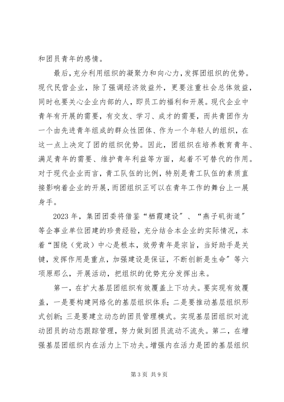 2023年共青团集团公司委员会年度工作计划.docx_第3页