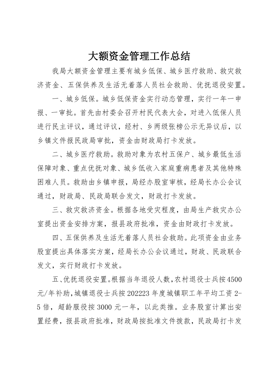 2023年大额资金管理工作总结新编.docx_第1页