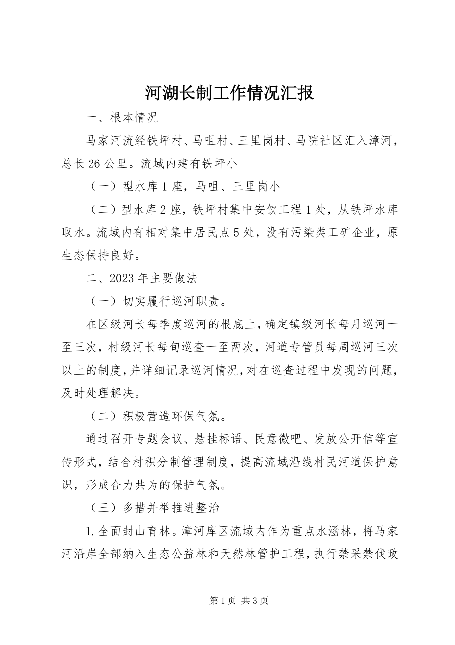 2023年河湖长制工作情况汇报.docx_第1页