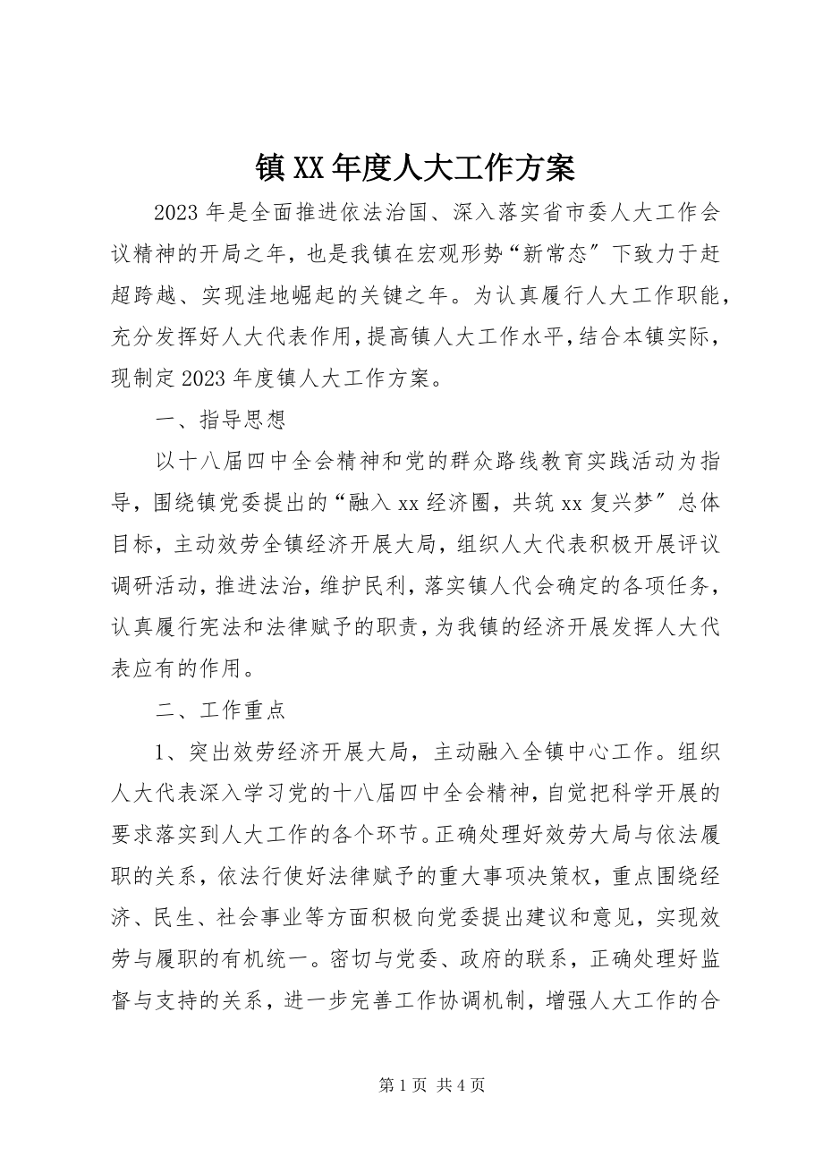 2023年镇度人大工作计划.docx_第1页