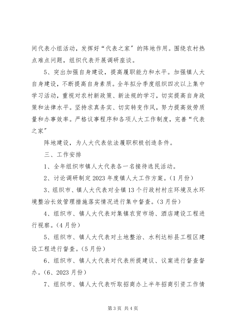 2023年镇度人大工作计划.docx_第3页