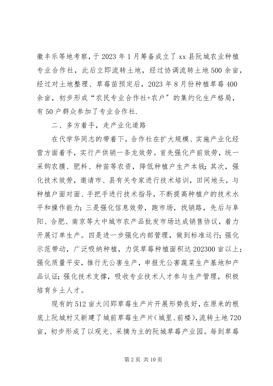 2023年某村主任先进事迹材料.docx_第2页