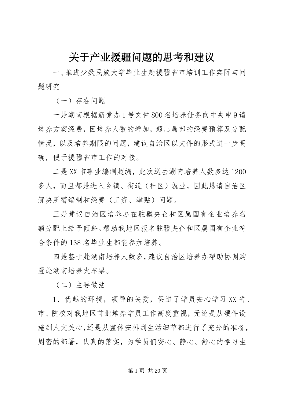 2023年产业援疆问题的思考和建议.docx_第1页