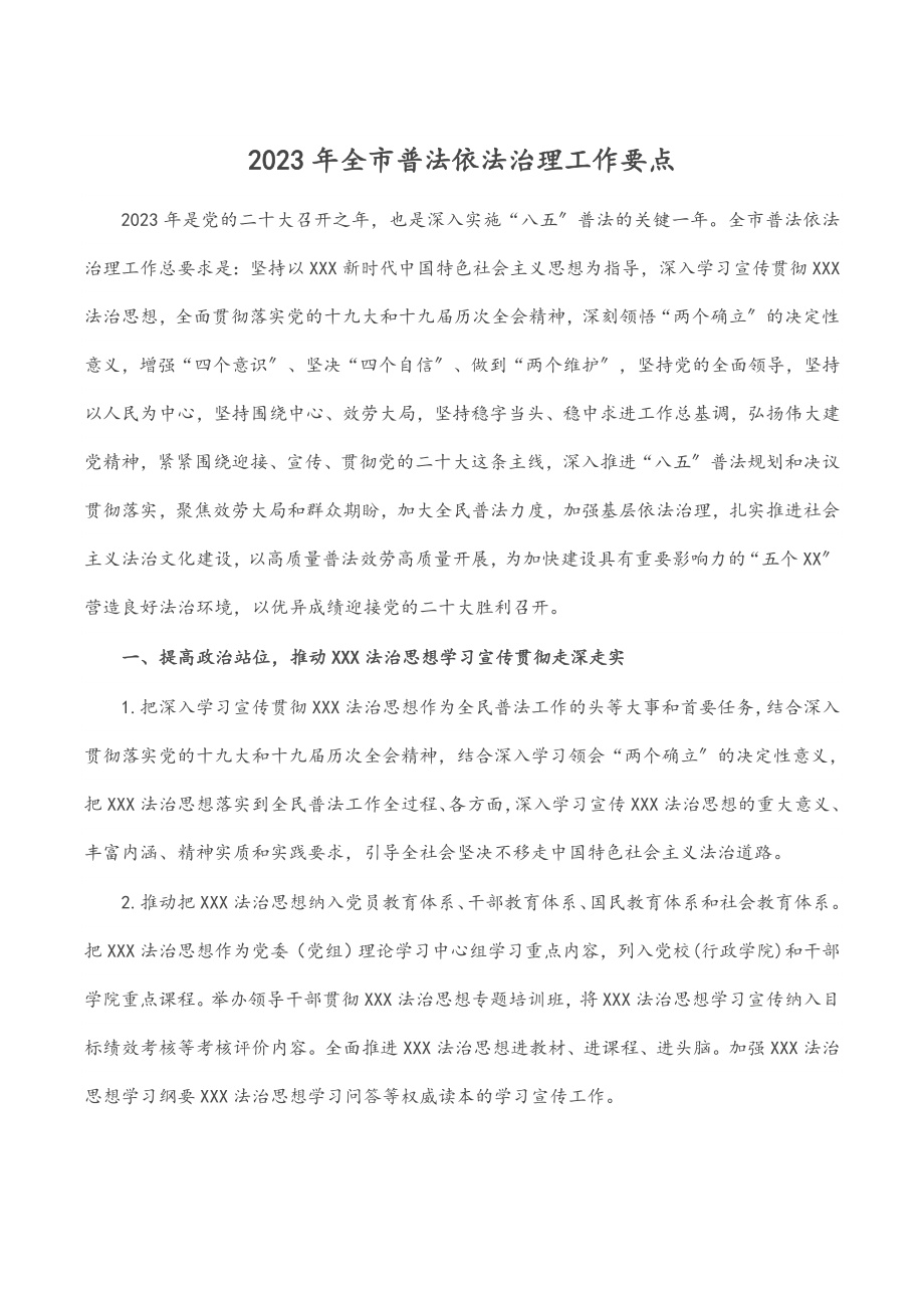 2023年全市普法依法治理工作要点.docx_第1页